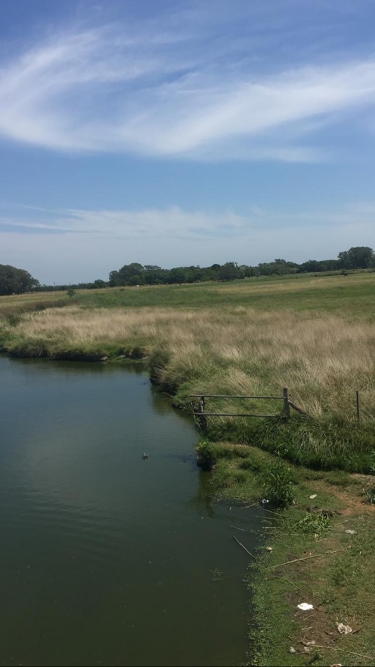 CAMPO MIXTO EN MAGDALENA - 19 HAS - A 400 MTRS RUTA N° 11