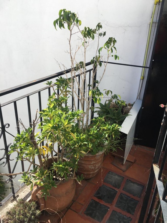 PH TIPO CASA EN TRES NIVELES - IDEAL DOS FAMILIAS - SEGUROLA ESQ. EVA PERON - LANUS OESTE
